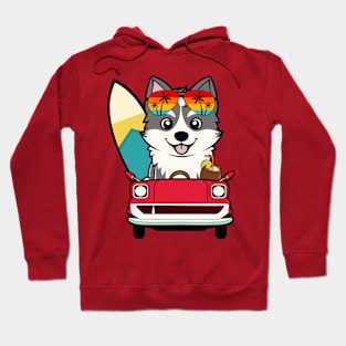 Funny Husky Dog is driving to the beach Hoodie